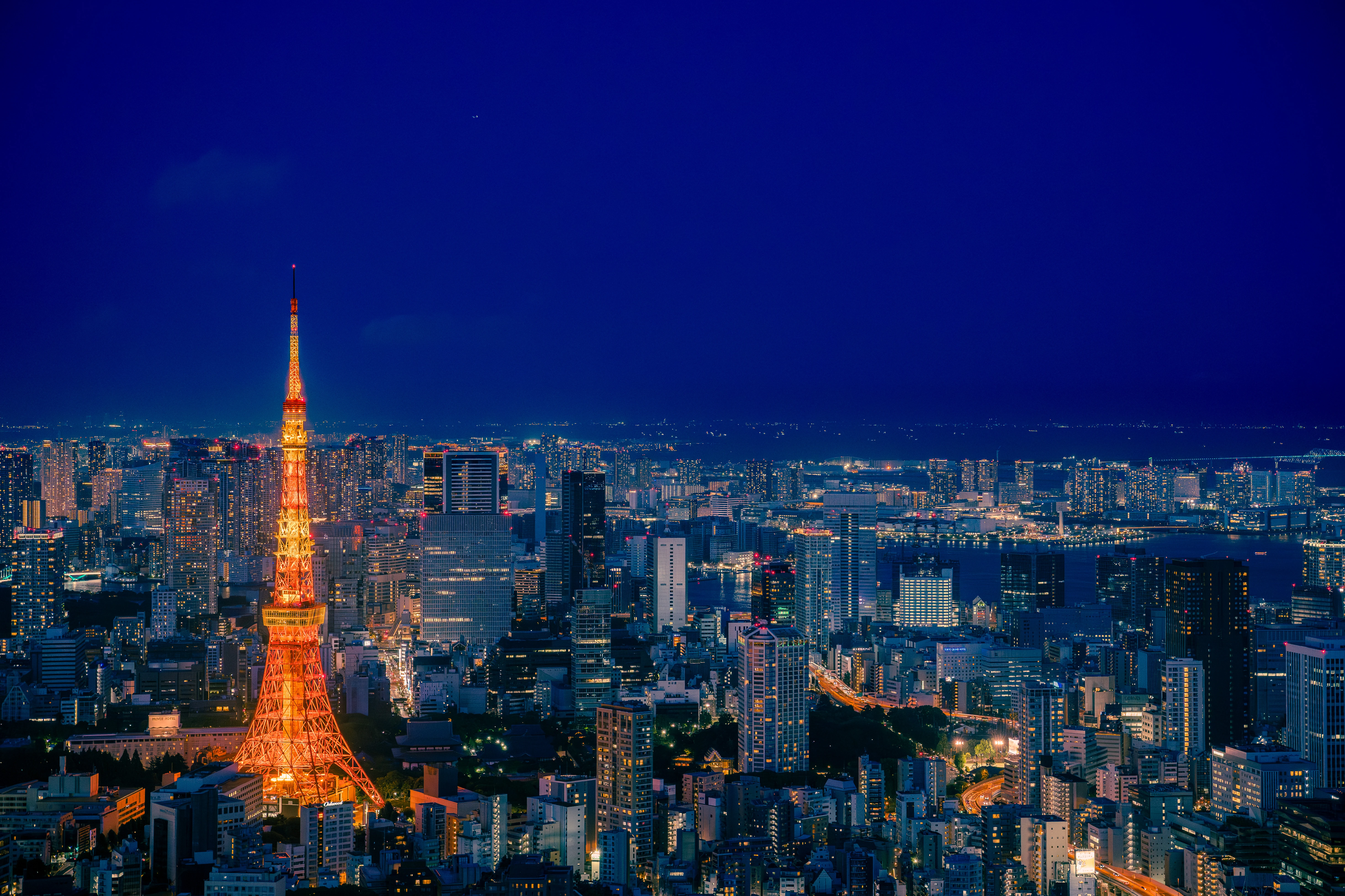 Tokyo Tower Illuminated Amid the Vibrant Cityscape at Night